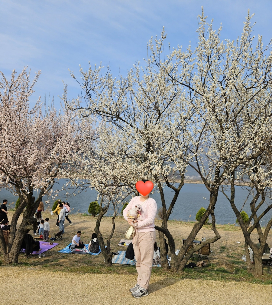 카페밀악관 이미지