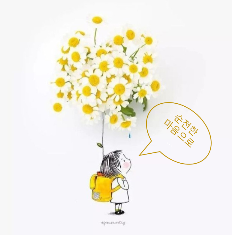 솔연 이미지