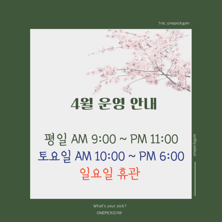 원픽짐 이미지
