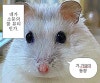 블로그짤 인사짤 안녕짤 블로그 시작짤 모음 1탄 : 네이버 블로그