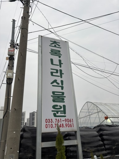 초록나라식물원 이미지