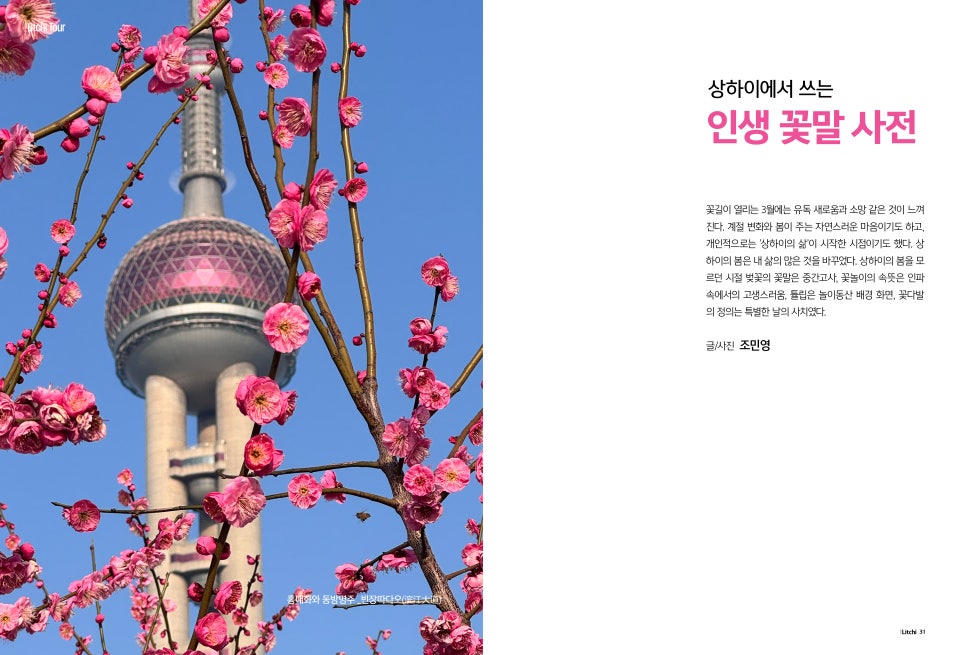 더리치 이미지