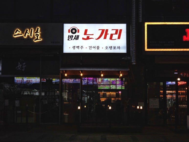 밤새노가리 사진 7
