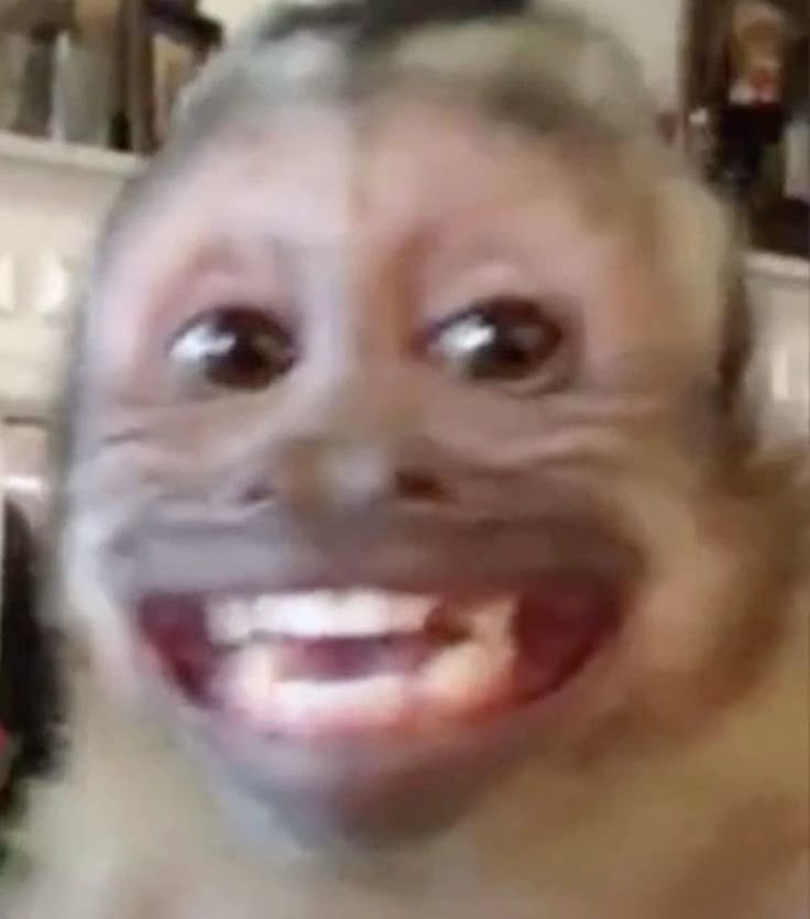 우가 이미지
