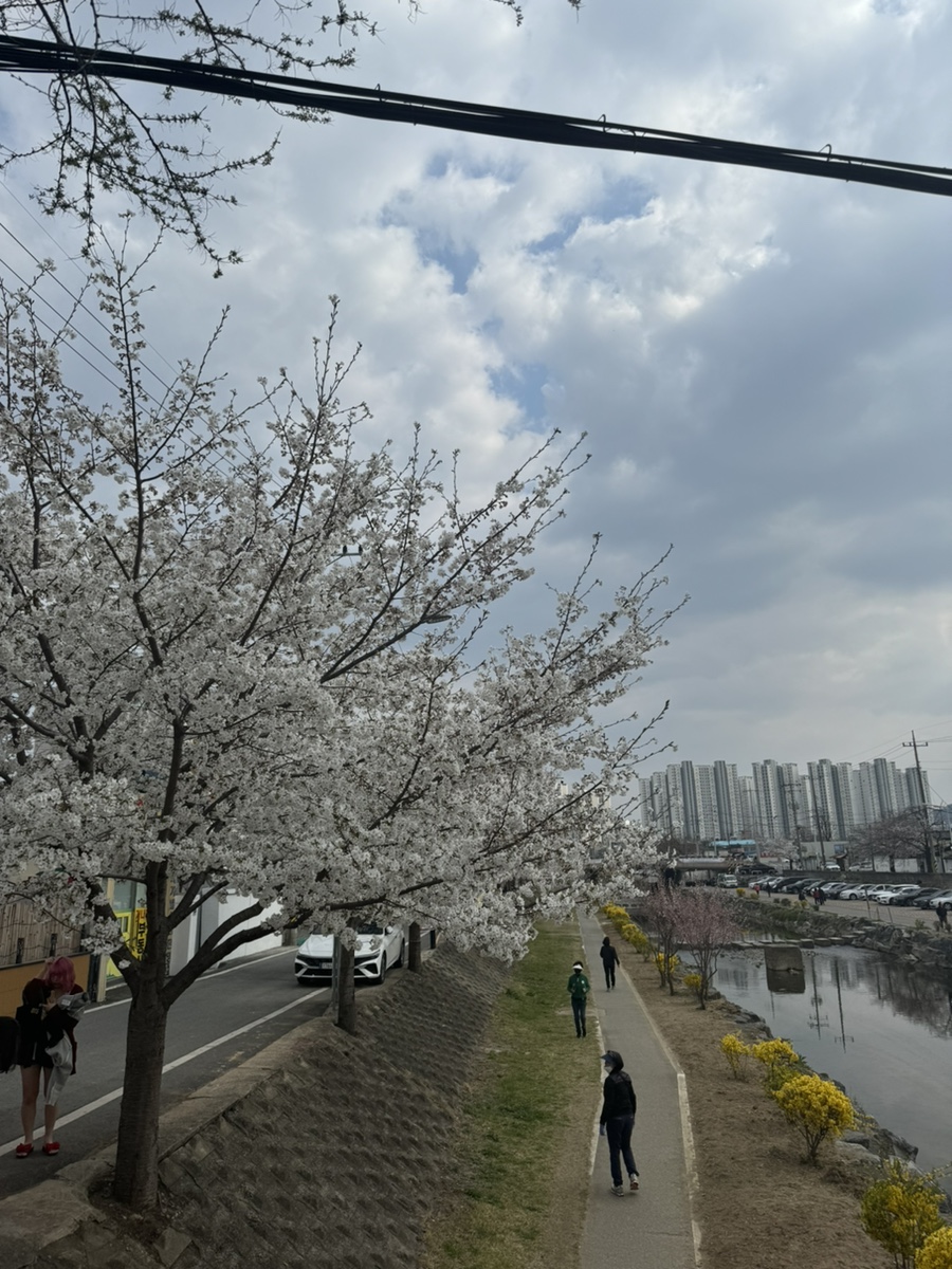 킷사코오리 이미지