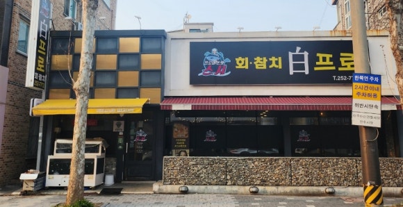 스시백프로 이미지