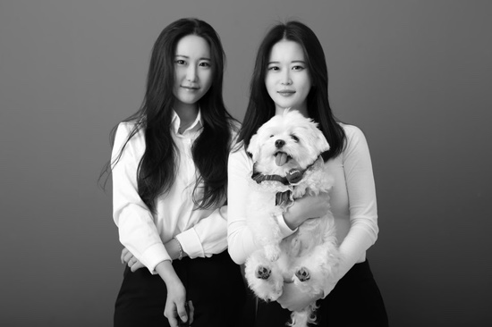 다옴한지 이미지