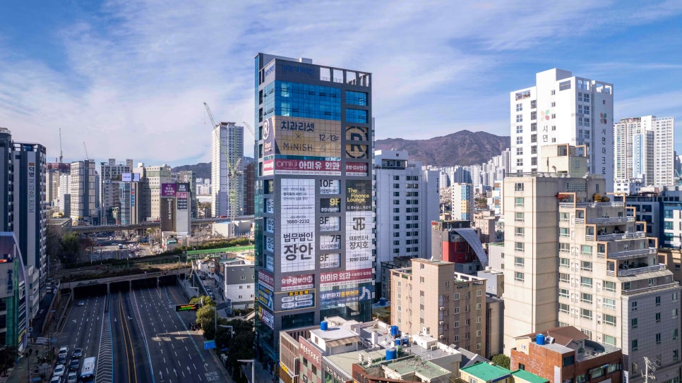 법무법인장안 이미지