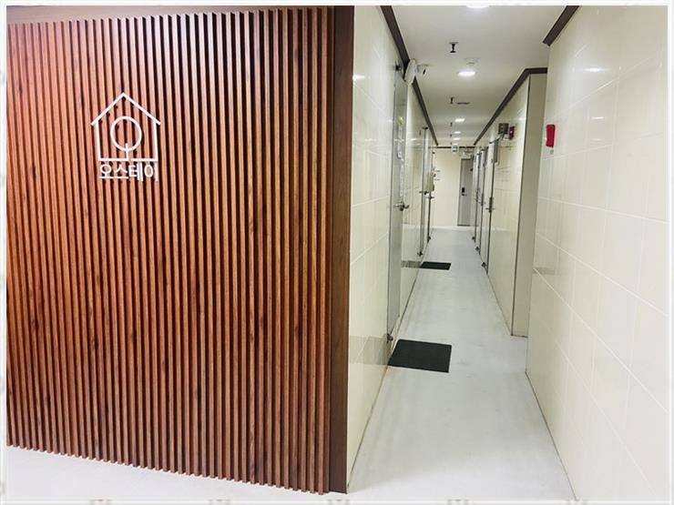 오스테이 이미지