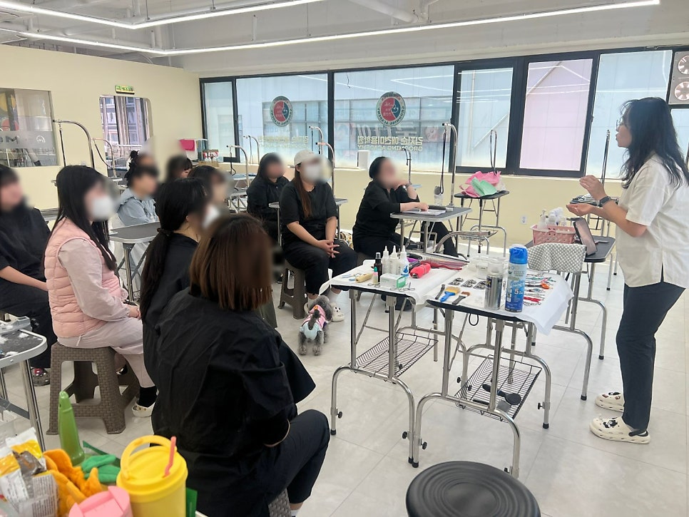 김지순애견미용학원 이미지