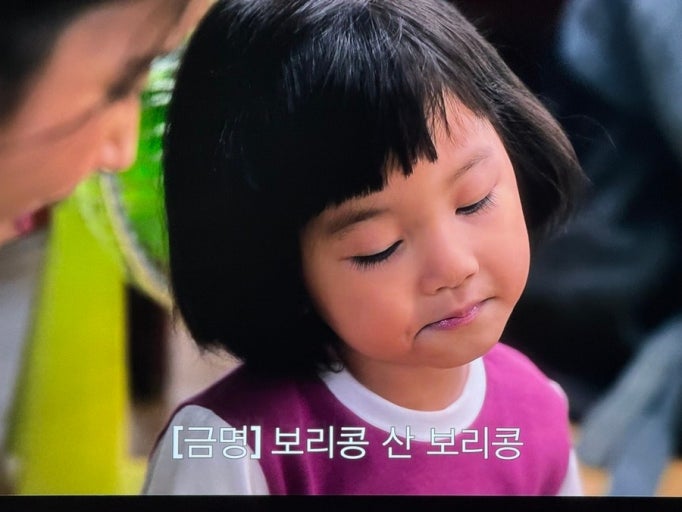 콩보리네 이미지