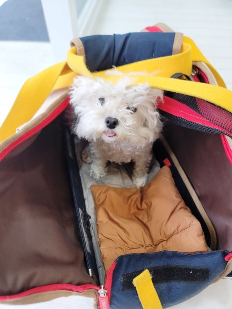 천운미용실 이미지