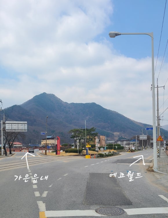 젤루느린 달팽이 이미지