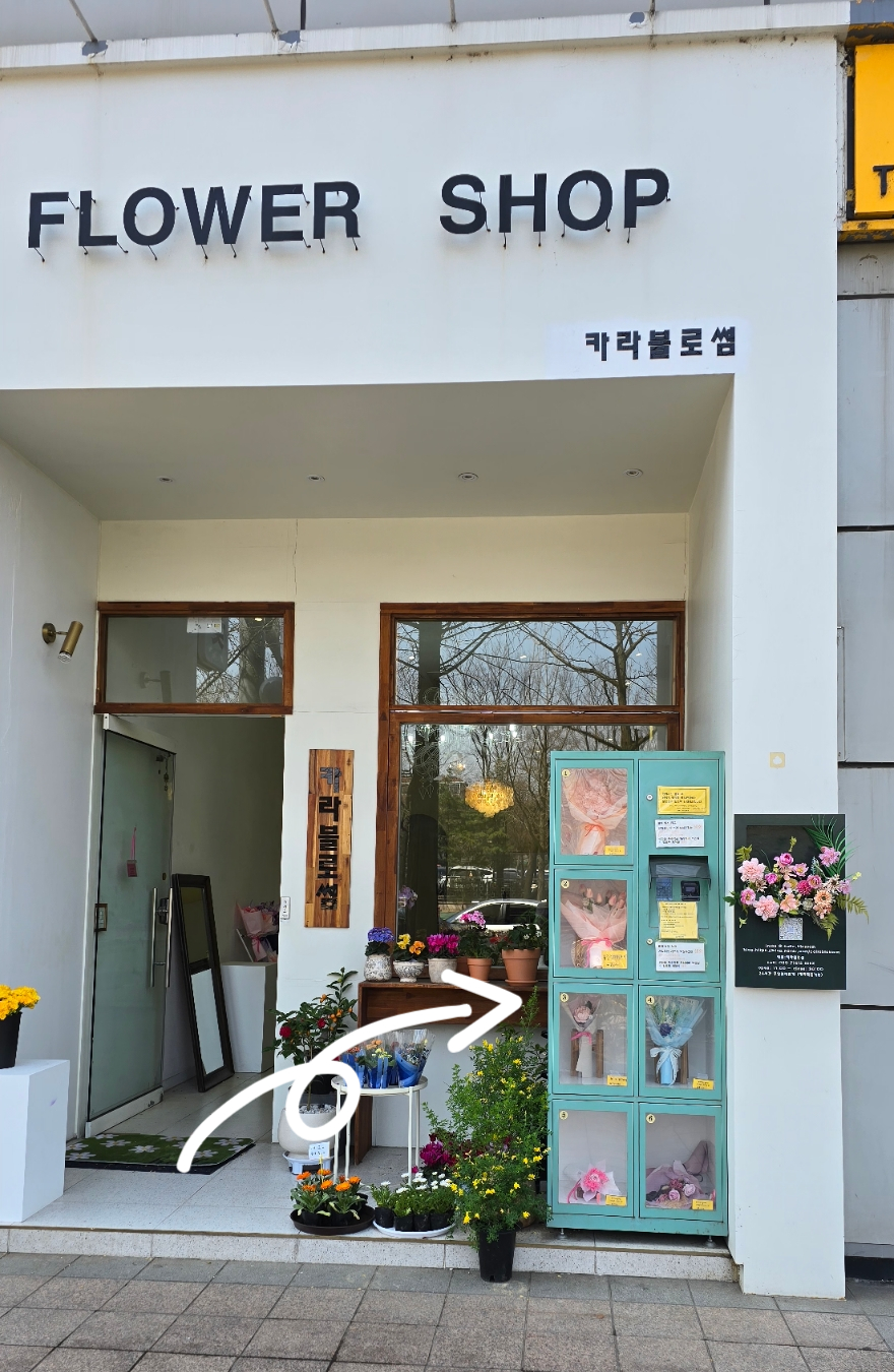 24시꽃 이미지