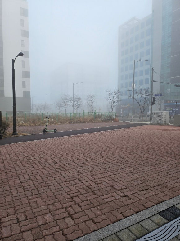 블루인옐로우 이미지