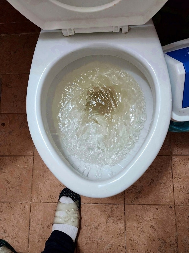 변기막힘 이미지