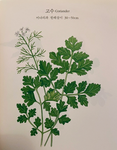 (주)코리앤더 이미지