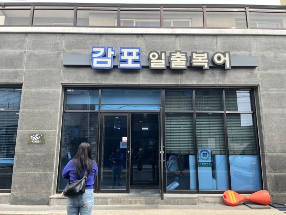 감포일출복어 이미지