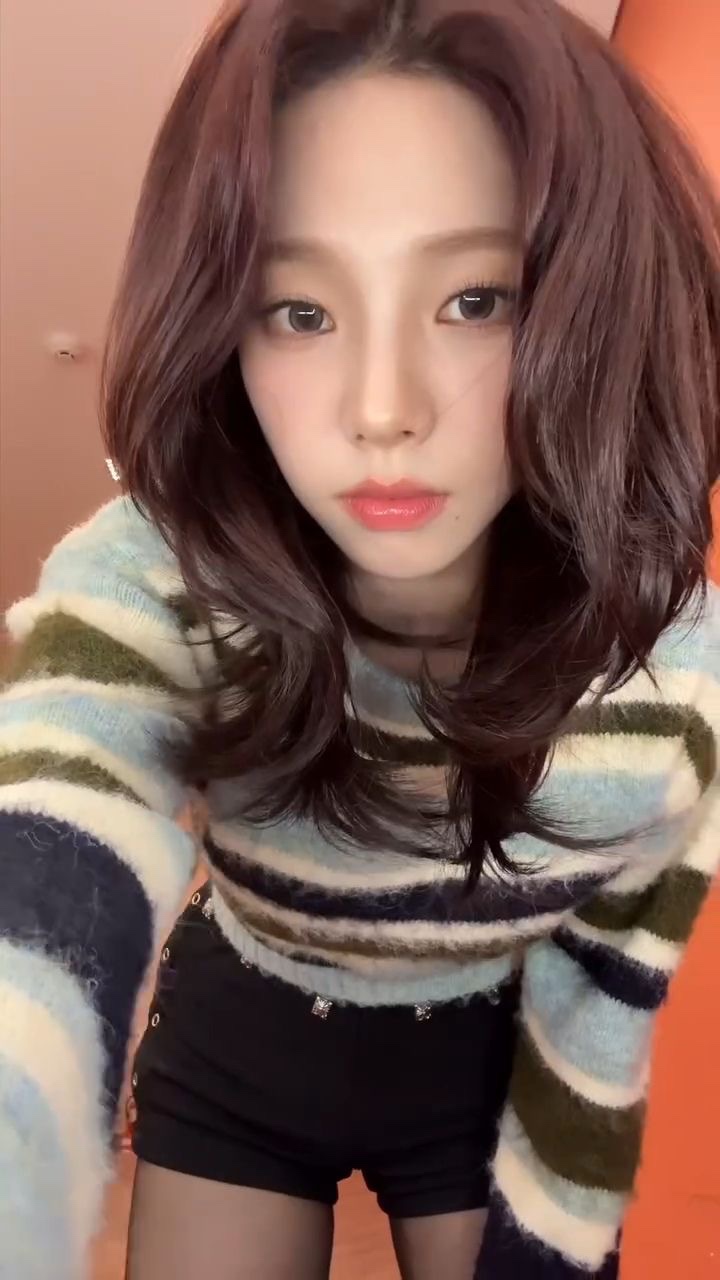 미학들 이미지