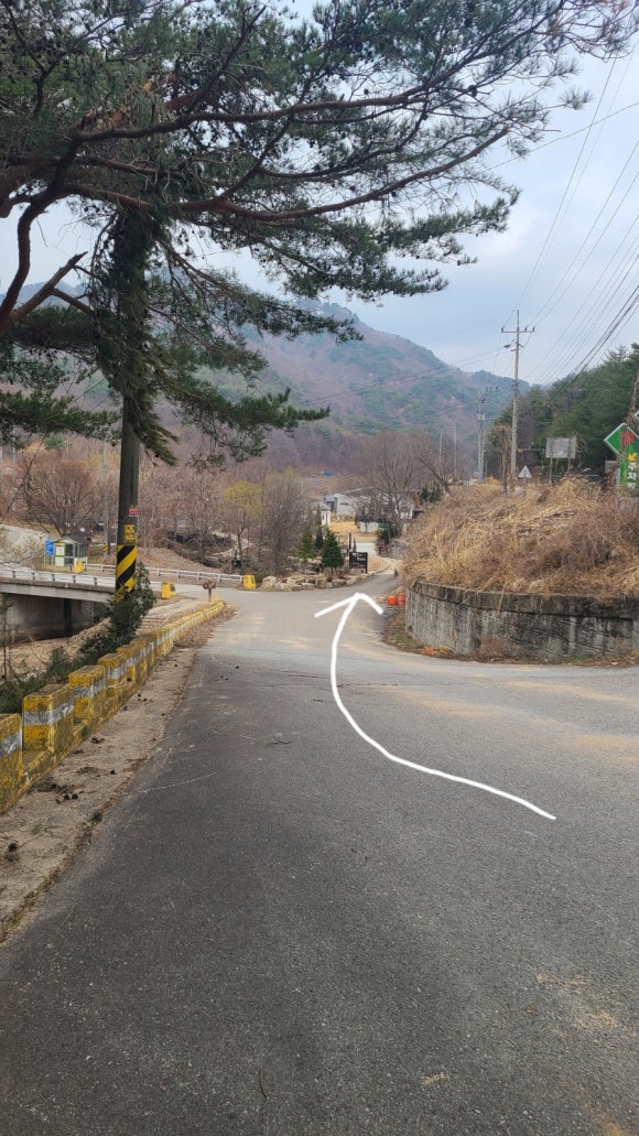 젤루느린 달팽이 이미지
