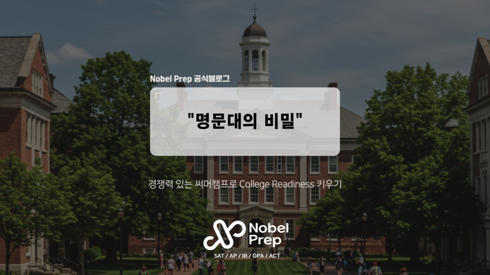 탑티어교육컨설팅 이미지