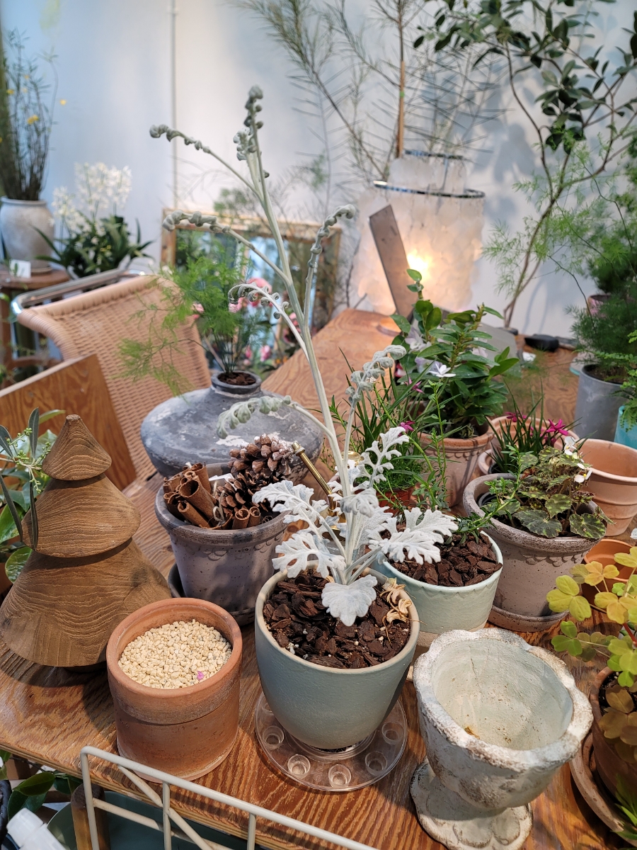 리리프아틀리에 이미지