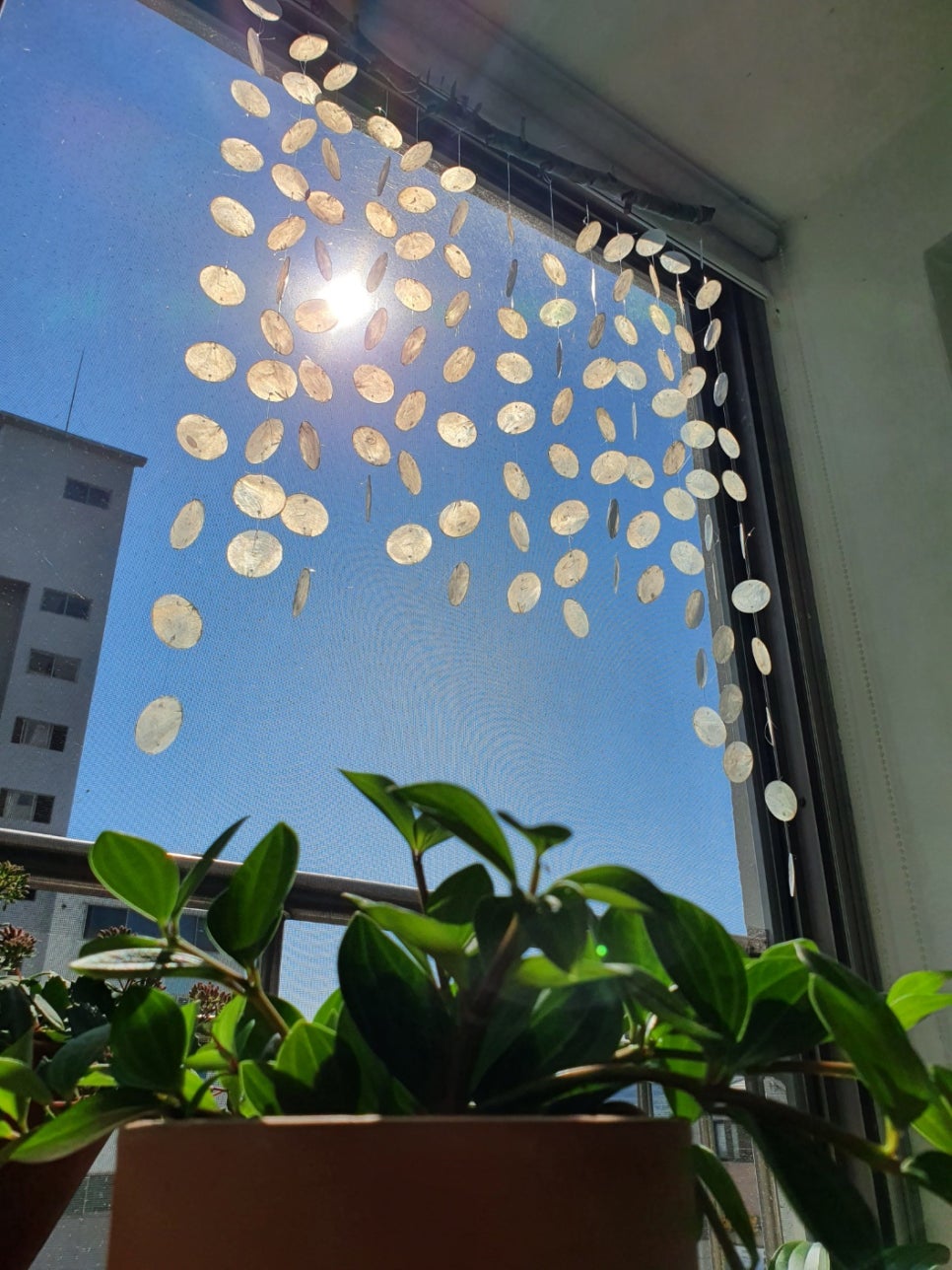 꽃바람공방 이미지