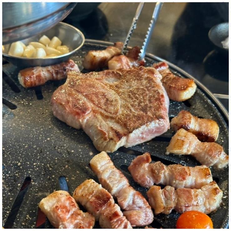 진돈 이미지