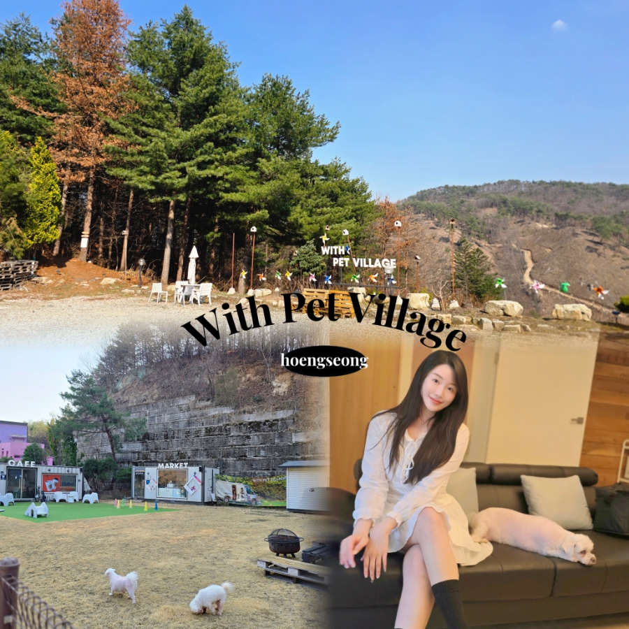 위드펫빌리지 이미지