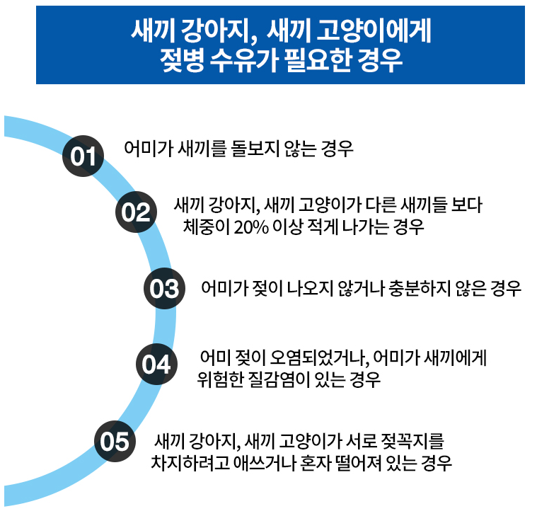 케이엠알 이미지