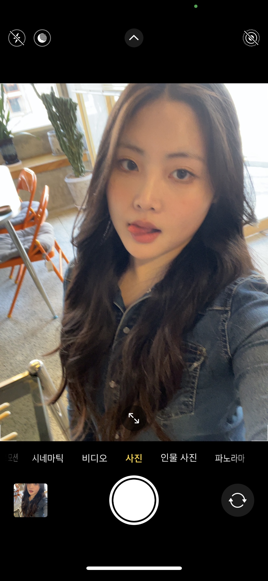 담양클로버 이미지