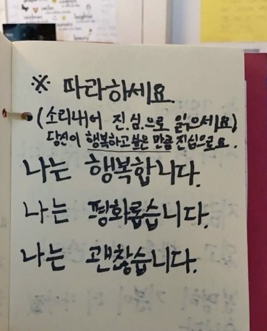 아리랑보쌈 이미지