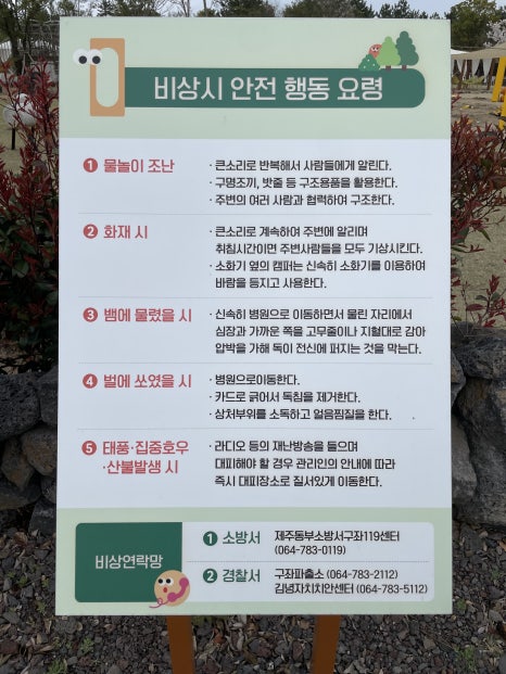 아이올레인포레스트캠핑 이미지