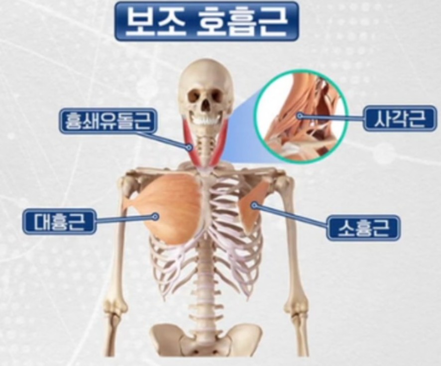 어몽뎀 이미지
