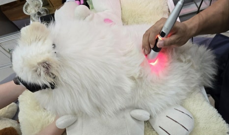 두암한방병원 이미지