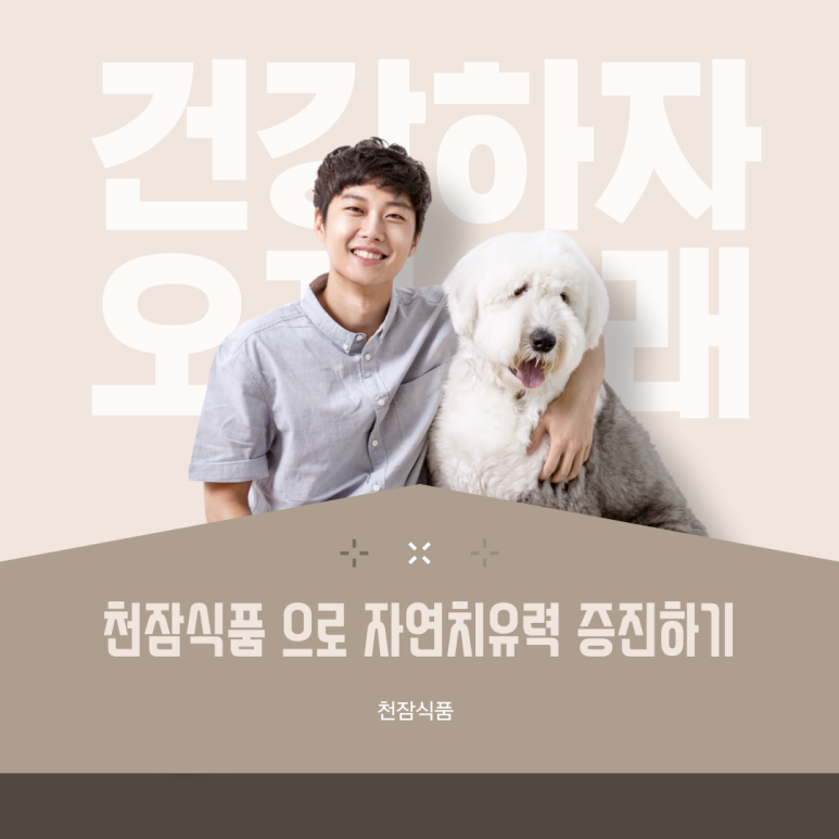천잠식품 이미지