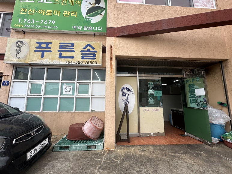푸른솔 사진 7