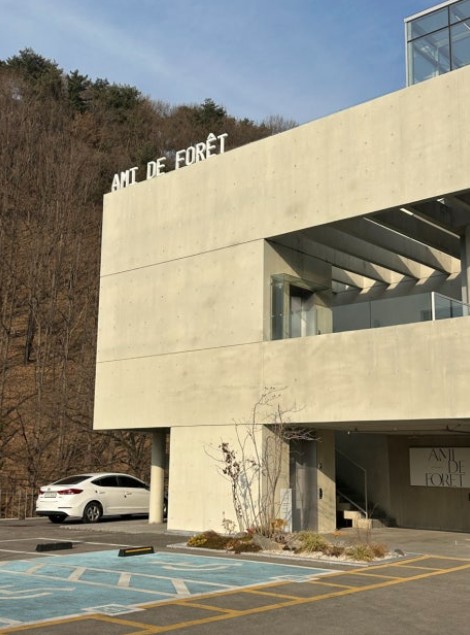 아미드포레 이미지