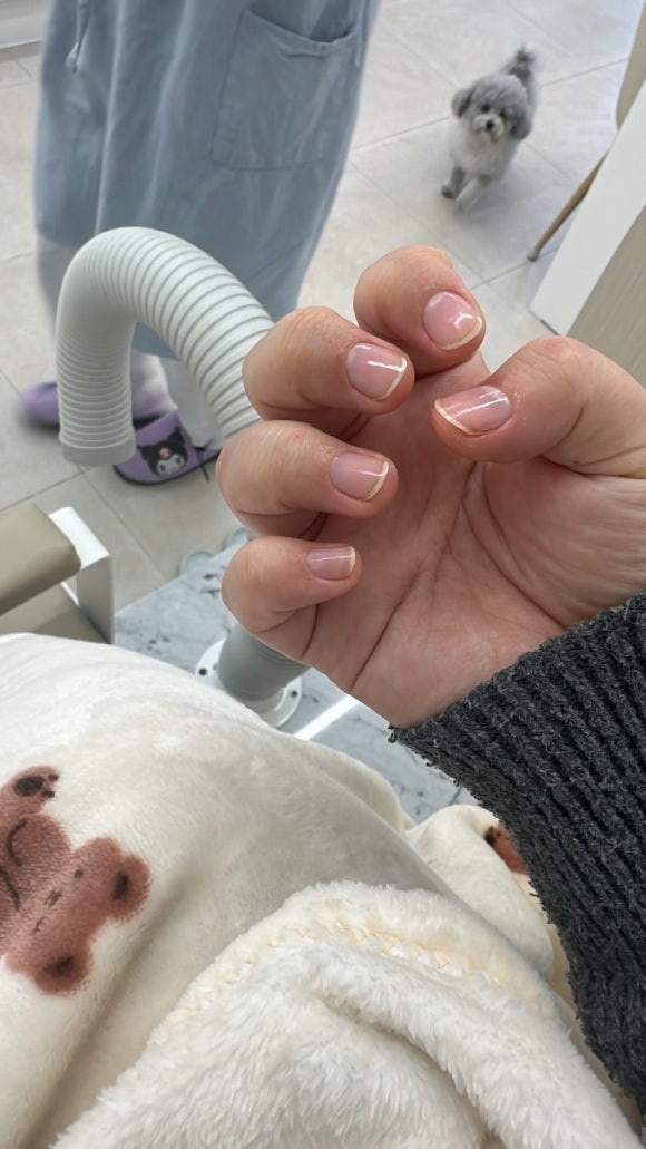 네일바이한 이미지