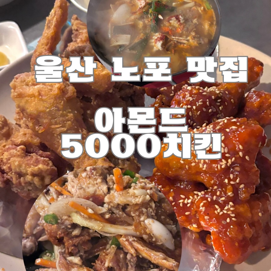 아몬드5000 이미지