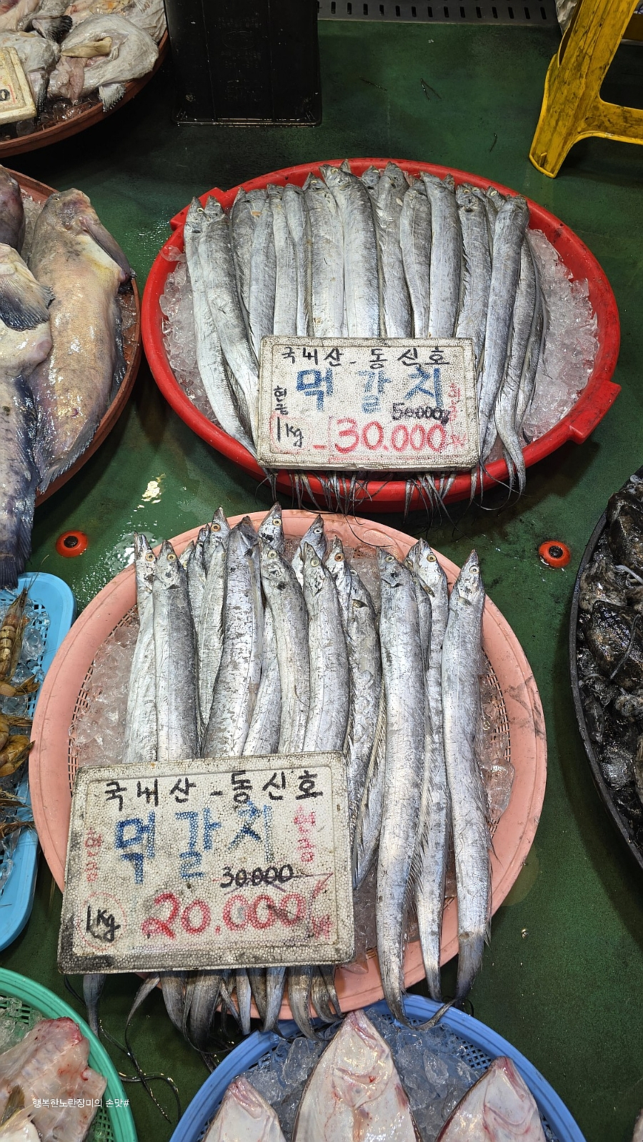 동신호 이미지