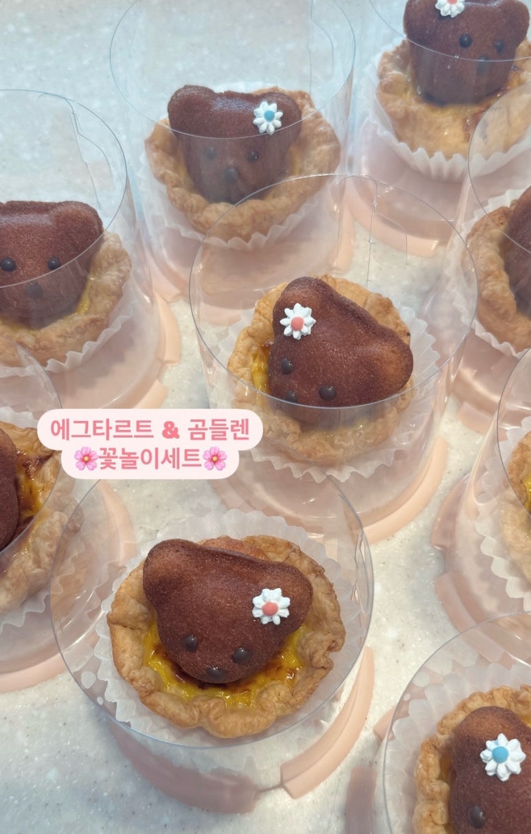 타르트곰 이미지