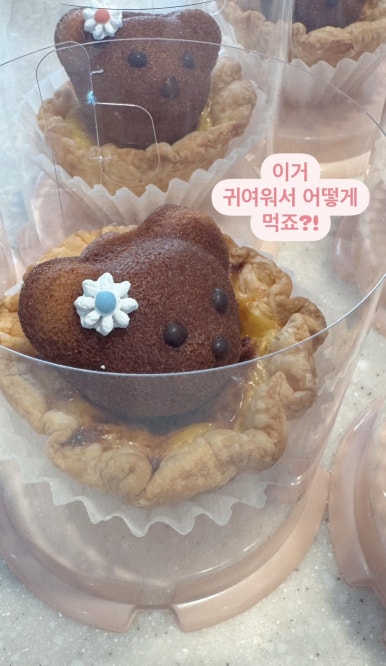 타르트곰 이미지