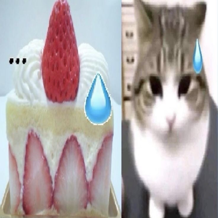 레테 이미지