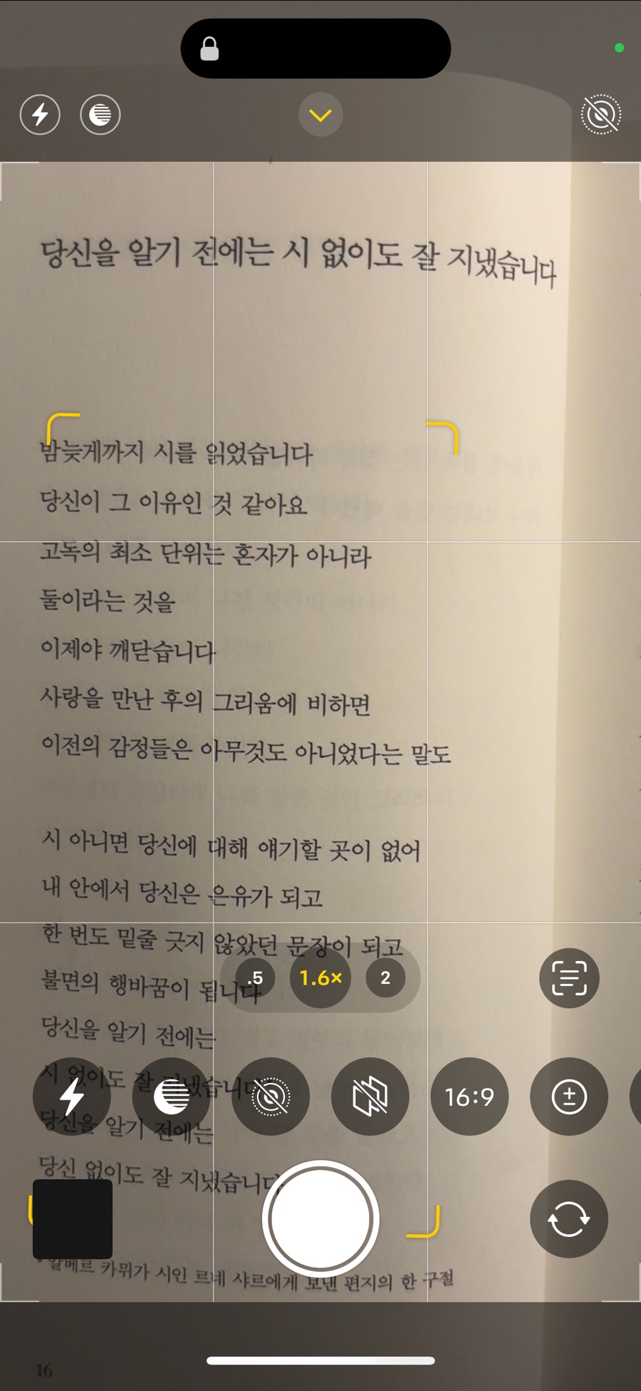 노노예예 이미지