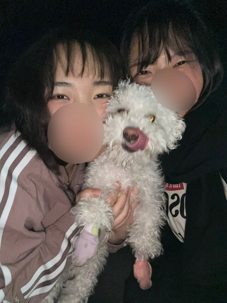 희현상사 이미지