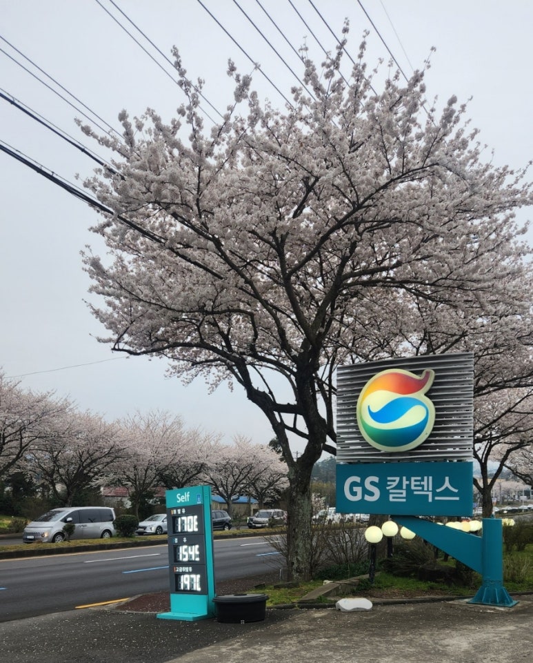 노형주유소 이미지