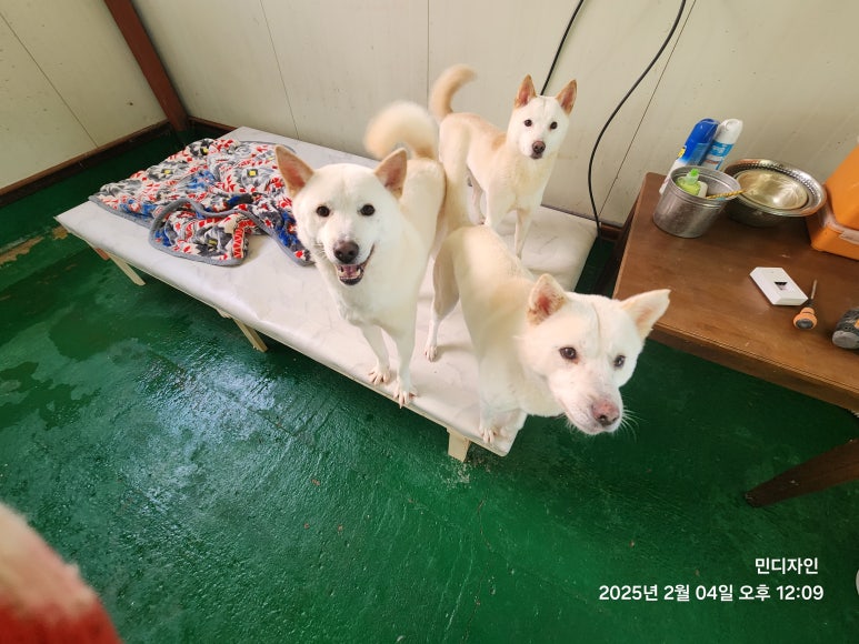 민디자인건축 이미지