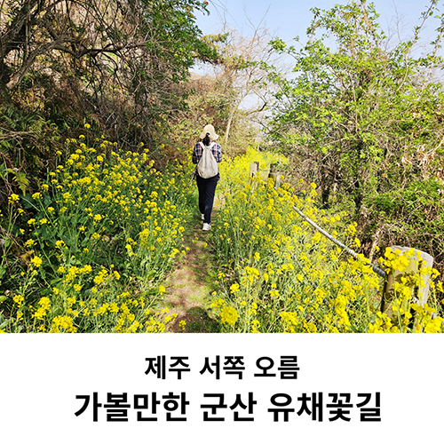 맛샘분식 이미지