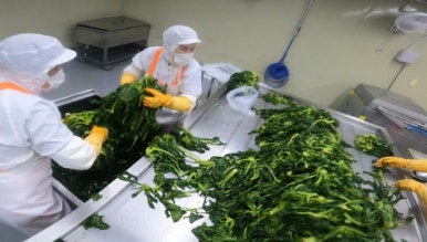 맛공장 이미지